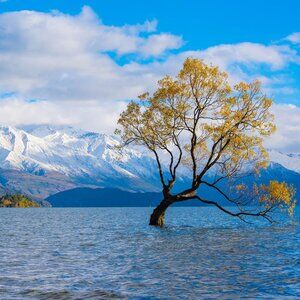 Meet your Posher, Candy